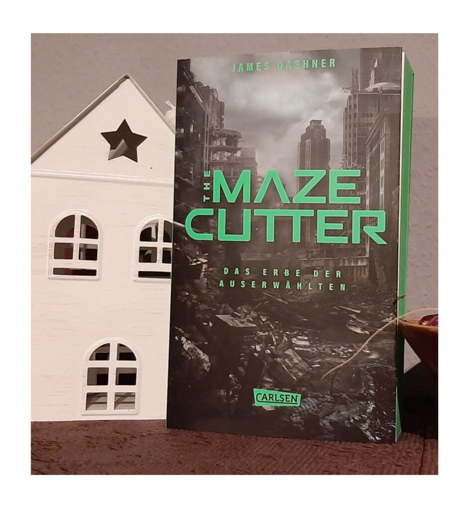 Werbung Rezension The Maze Cutter 1 Das Erbe der Auserwählten von